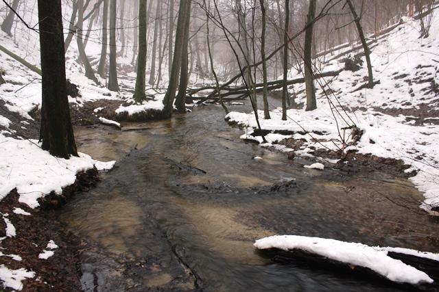 Ostoja Lidzbarska (fot. Wiktor Furmanek)