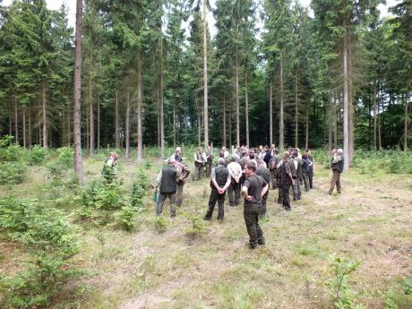 Szkolenie terenowe z zagospodarowania lasu