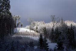 fot. Ryszard Nowaczyk