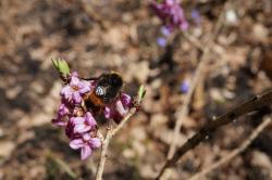 fot. Magdalena Wysokińska