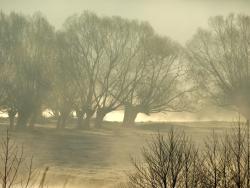 fot. Borys Szpryngwald