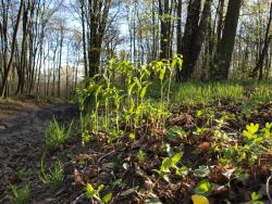 fot. Borys Szpryngwald