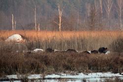 fot. Ryszard Nowaczyk