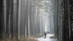 fot. Borys Szpryngwald