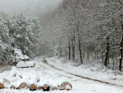 fot. Magdalena Wysokińska