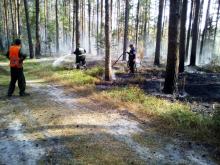 Pożar w Leśnictwie Ostrówki