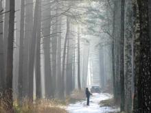 Udostępnianie lasu w Nadleśnictwie Brodnica
