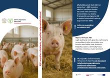 Afrykański Pomór Świń - broszura informacyjna