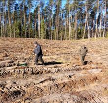 Od nasiona do starodrzewu