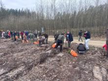 Wspólne sadzenie lasu w Leśnictwie Górale